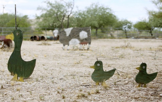 Tucson Oddity: Animals are very low care down on his small 'farm'
